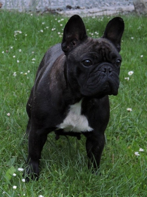 Mi gran amigo Maddy